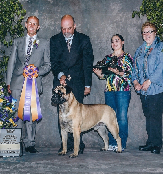 GCH HOLLYWOOD - BEST IN SPECIALTY SHOW 